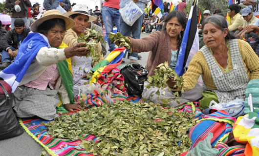 Día Nacional del Acullico en Bolivia