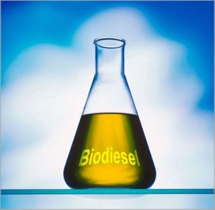 Bolivia planea producir biodiesel de alta calidad a partir de la industrialización de la basura orgánica.