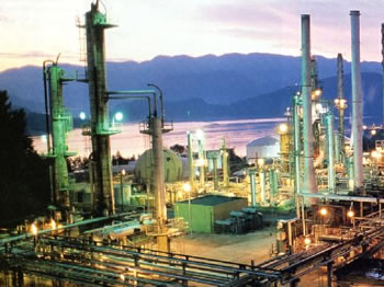 Gobierno encarará el proceso de industrialización de hidrocarburos desde 2010 con la creación de una empresa encargada de ese emprendimiento.