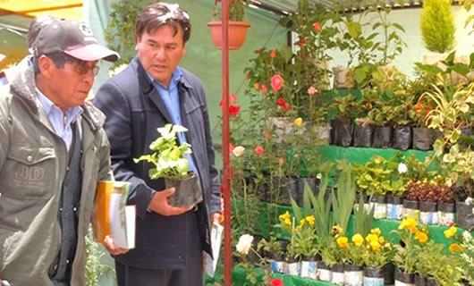 Feria de plantas ornamental de la ciudad de El Alto
