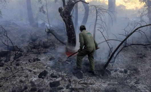 Pobladores tratando de frenar el incendio ocasionado por traficantes de tierras en Cochabamba.
