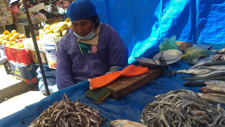 Vendedora de pescado en final Los Andes de la ciudad de El Alto.