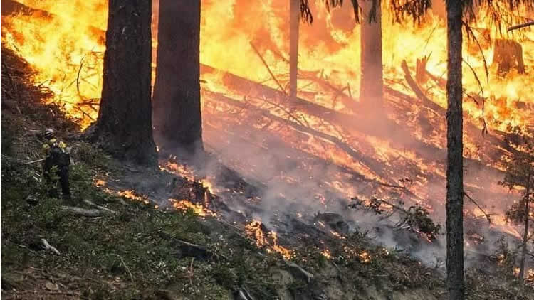 Incendio en el Parque Nacional Tunari en el departamento de Cochabamba