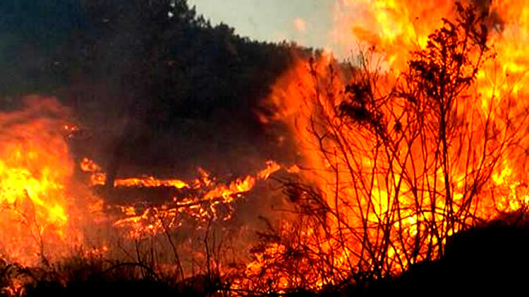 Incendio en el Parque Nacional Tunari se extiende