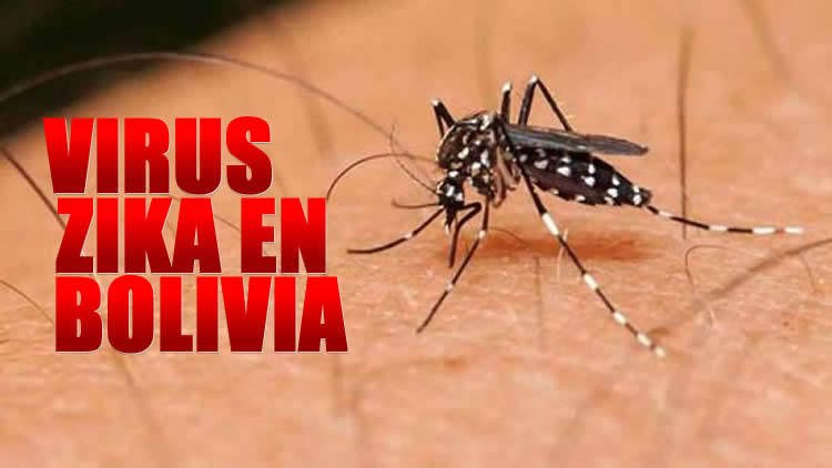 Virus del Zika en Bolivia