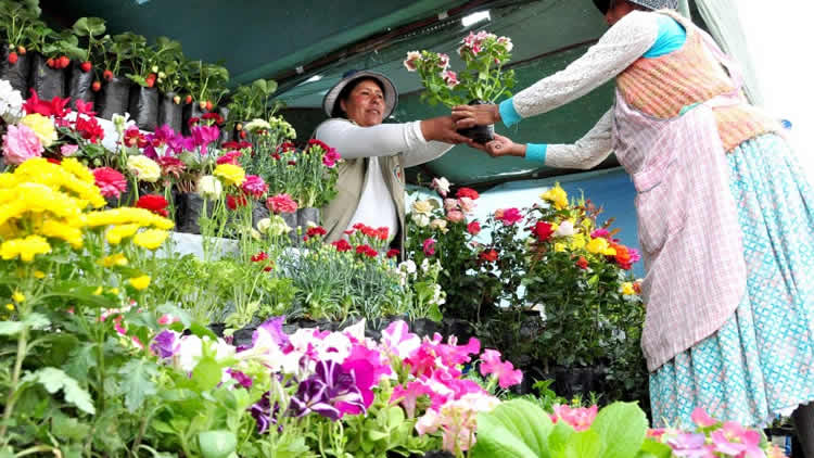 El Alto recibirá la primavera con una Feria de flores