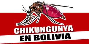 Reportan muerte por chikungunya en Riberalta, Beni
