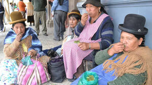 En Bolivia 8 de cada 10 personas acullican hoja de coca