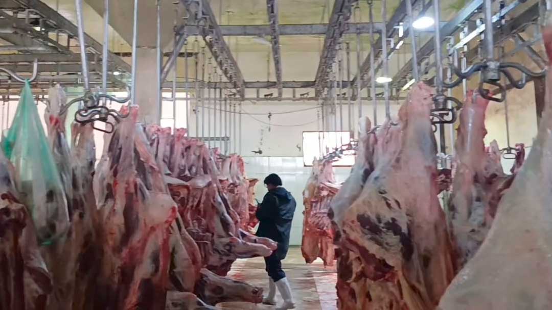 Inspecci&oacute;n al Matadero Municipal identifica necesidades de infraestructura y equipamiento