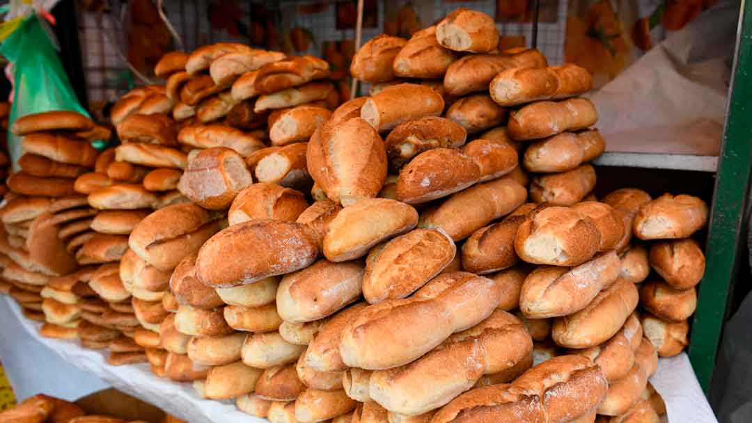 El pan de batalla o marraqueta.