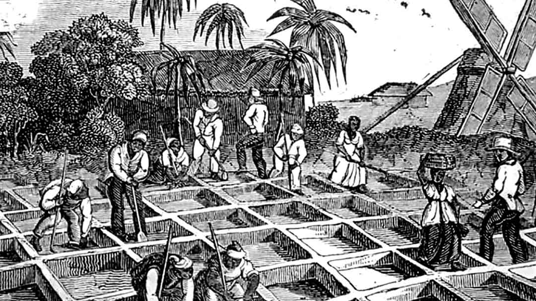 El gobierno de Andrés de Santa Cruz emite un decreto, el 23 de marzo de 1831, que declaraba la abolición de la esclavitud en territorio boliviano.