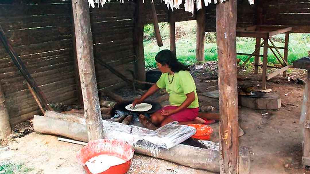 Mujer Araona preparando laba ‘pan’.
