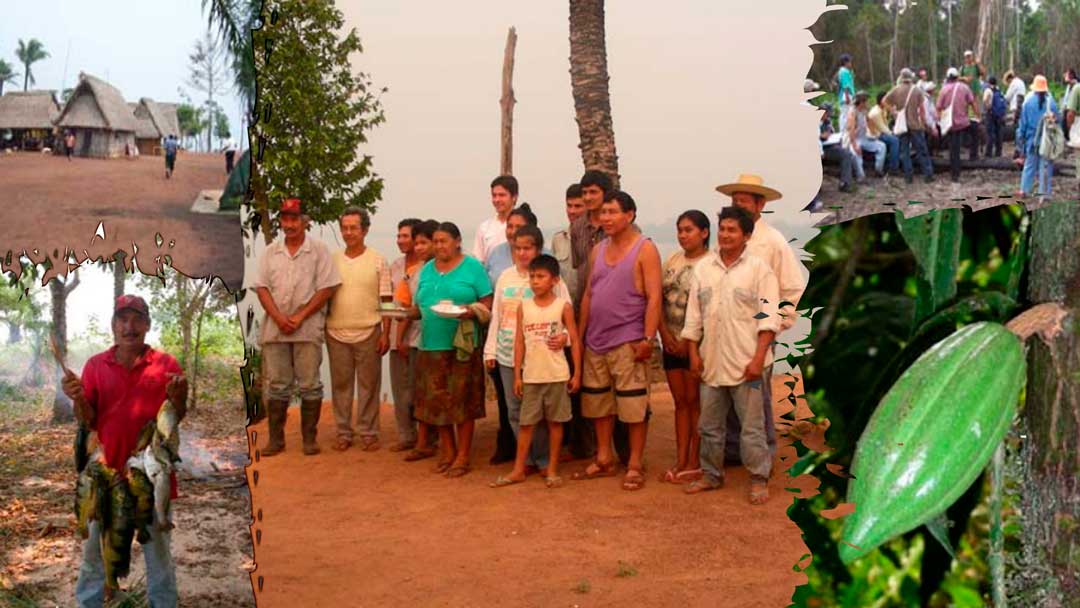 Los Baures en la agricultura, pesca y producción de Cacao.