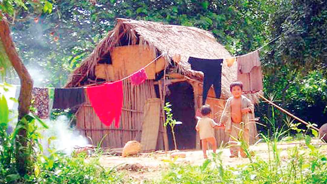 Comunidad San Pedro Nuevo de Canichana.