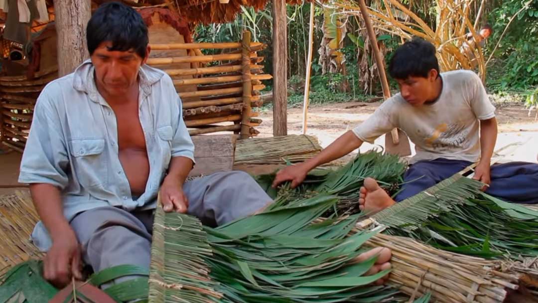 Los Chimane realizan el tejido y recolección de la jatata.