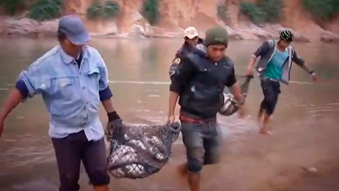 Los Weenhayek en la actividad de la pesca.