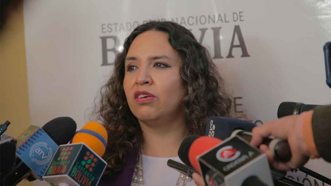 La ministra de Salud, María Renée Castro.