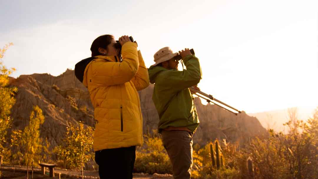 Impulsan el entomoturismo y aviturismo en los municipios alteño y paceño. Foto: Turismo El Alto.