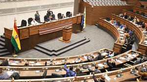 ALP convoca a sesión para elegir y designar al nuevo Defensor del Pueblo este 5 de mayo