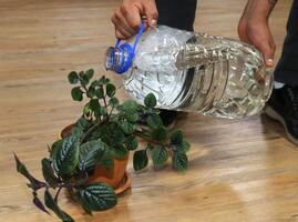 Sensibilizan cuidado del agua en El Alto 