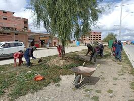 Sugieren plantar árboles en El Alto
