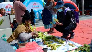 Feria de Ramos en El Alto se realizará desde el 23 de marzo al 9 de abril