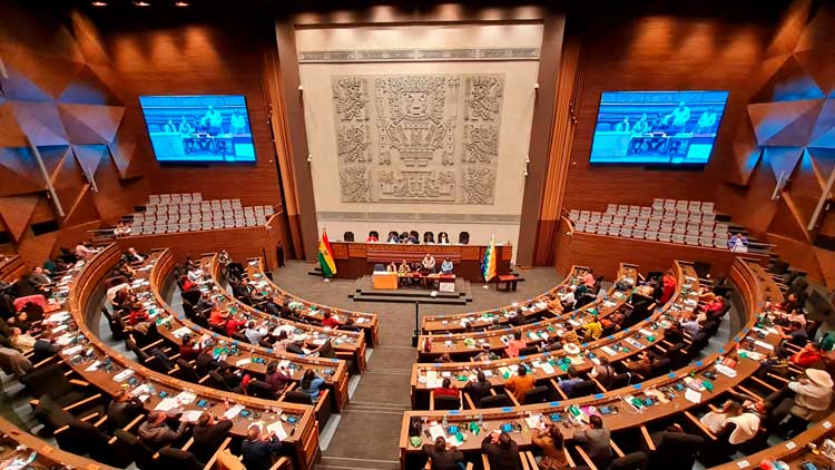 Asamblea Legislativa Plurinacional (ALP)