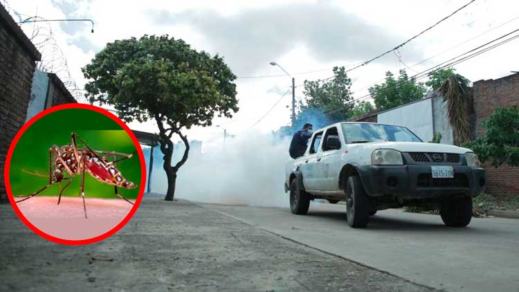 Fumigan en Santa Cruz por incremento de casos acumulados de dengue en Bolivia
