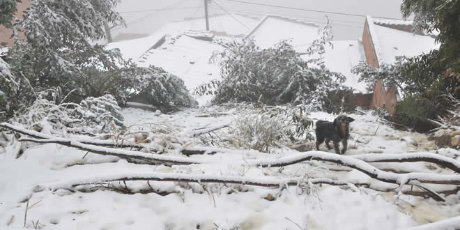 Nevada cubre El Alto