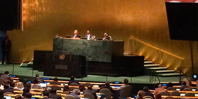 Asamblea General de la ONU