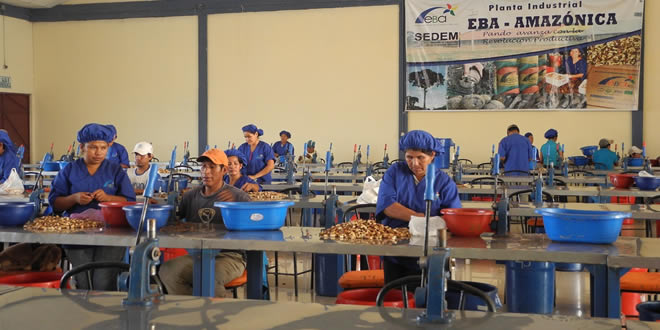 Trabajadoras de la estatal Empresa Boliviana de Almendras 