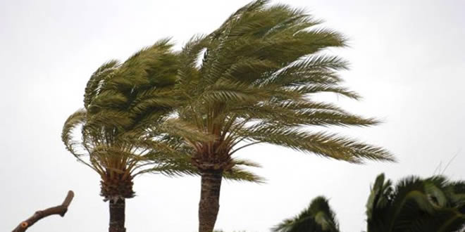 Senamhi emite alerta en Santa Cruz y Potosí por fuertes vientos