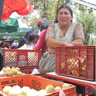 Duraznos de Inquisivi en sus diversas variedades.
