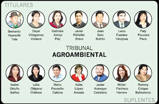 Tribunal Agroambiental