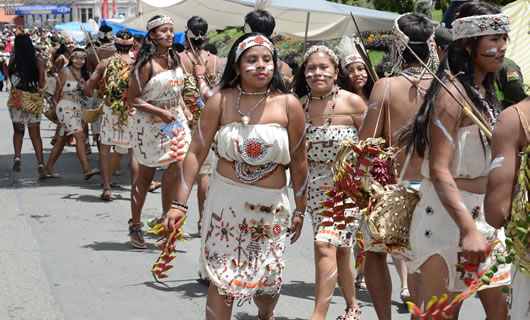 Entrada del Jisk´a Anata 2015. (foto:ABI)