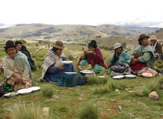 Agricultura familiar campesina alimenta al pueblo