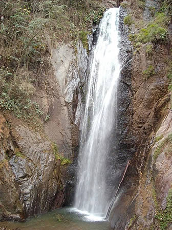 Cascada en Yungas: Bello panorama que ofrece la naturaleza en Coroico