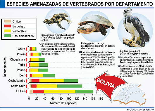 Especies en peligro de extinción en Bolivia Especies en peligro de extinción en Bolivia