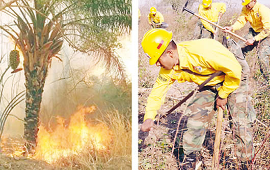 Incendio forestal en Bolivia