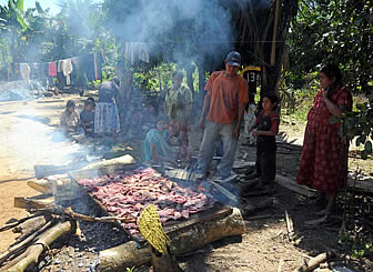 Territorio Indígena y Parque Nacional Isiboro Sécure (Tipnis)