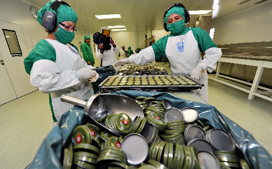 Fabricación de Mentisan unguento