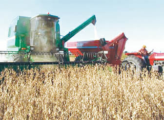 Producción de granos en Bolivia