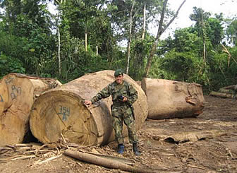 Regimiento Ecológico