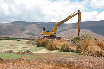 Situación del lago Titicaca en el sector de Cohana.