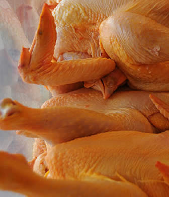 Carne de Pollo.