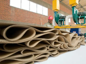 Cartonbol fabrica anforas.