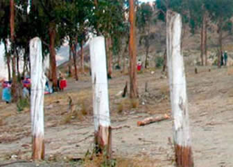 Zona tomada por Comunarios de Mecapaca