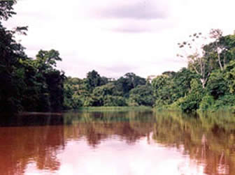 El TIPNIS se ubica geográficamente en medio de la selva, entre los departamentos del Beni y Cochabamba.