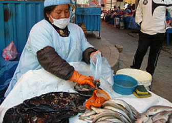 Venta de trucha y otros peces