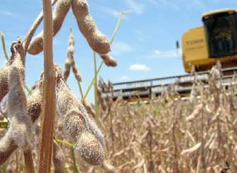 Agroindustria cruceña